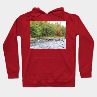 Rivers Edge - Algonquin Provincial Park Hoodie